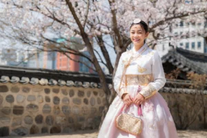 Korean hanbok dress